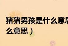 豬豬男孩是什么意思網(wǎng)絡語言（豬豬男孩是什么意思）