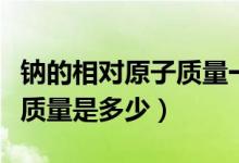 鈉的相對原子質(zhì)量一般取多少（鈉的相對原子質(zhì)量是多少）