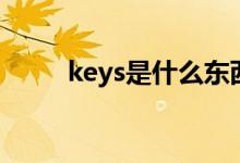 keys是什么東西（keys是什么車）