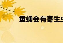 蠶蛹會(huì)有寄生蟲嗎（蠶蛹會(huì)動(dòng)嗎）