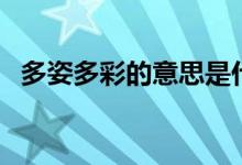 多姿多彩的意思是什么（多姿多彩的含義）