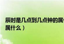 辰時(shí)是幾點(diǎn)到幾點(diǎn)鐘的屬什么生肖（辰時(shí)是幾點(diǎn)到幾點(diǎn)鐘的屬什么）