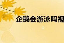 企鵝會游泳嗎視頻（企鵝會游泳嗎）