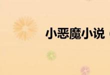 小惡魔小說（小惡魔什么梗）