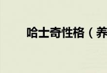 哈士奇性格（養(yǎng)狗之前要了解清楚）