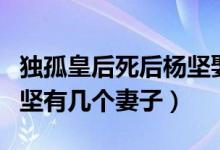 獨(dú)孤皇后死后楊堅(jiān)娶了誰(shuí)（獨(dú)孤皇后的丈夫楊堅(jiān)有幾個(gè)妻子）