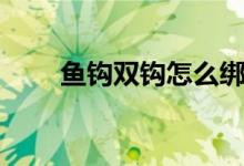 魚(yú)鉤雙鉤怎么綁圖解（有什么方法）