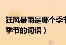 狂風(fēng)暴雨是哪個(gè)季節(jié)的成語(yǔ)（狂風(fēng)暴雨是哪個(gè)季節(jié)的詞語(yǔ)）