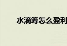 水滴籌怎么盈利（水滴籌怎么盈利）