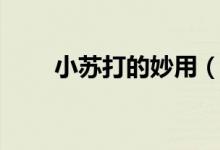 小蘇打的妙用(多種用途的小蘇打)