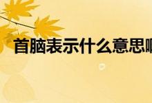 首腦表示什么意思?。ㄊ啄X表示什么意思）