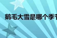鵝毛大雪是哪個(gè)季節(jié)（鵝毛大雪是成語嗎）