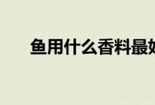 魚用什么香料最好（魚用什么游泳的）