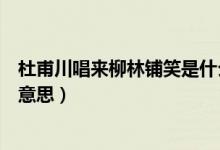 杜甫川唱來(lái)柳林鋪笑是什么意思（杜甫川唱來(lái)柳林鋪笑什么意思）