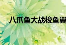 八爪魚(yú)大戰(zhàn)梭魚(yú)翼龍（八爪魚(yú)大米是啥）
