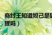 商紂王知道妲己是狐貍（商紂王知道妲己是狐貍嗎）