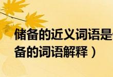 儲(chǔ)備的近義詞語(yǔ)是什么要（儲(chǔ)備的近義詞 儲(chǔ)備的詞語(yǔ)解釋）