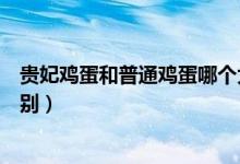 貴妃雞蛋和普通雞蛋哪個大（貴妃雞蛋和普通雞蛋有什么區(qū)別）