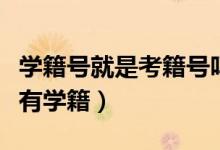 學籍號就是考籍號嗎（是不是有考籍號就代表有學籍）