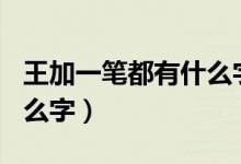 王加一筆都有什么字100個（王加一筆都有什么字）