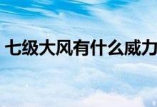 七級大風(fēng)有什么威力（七級大風(fēng)有什么危害）