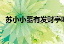 蘇小小墓有發(fā)財亭嗎（蘇小小墓有尸骨嗎）