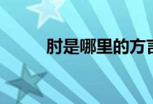 肘是哪里的方言（肘是哪個(gè)部位）