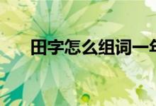 田字怎么組詞一年級（田字怎么組詞）