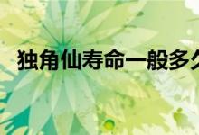 獨(dú)角仙壽命一般多久（獨(dú)角仙壽命是多少）