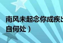 南風(fēng)未起念你成疾出處（南風(fēng)未起念你成疾出自何處）