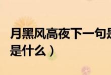 月黑風高夜下一句是什么（月黑風高夜下一句是什么）