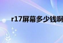 r17屏幕多少錢啊（r17屏幕多大尺寸）