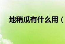 地稍瓜有什么用（為大家專門介紹一下）