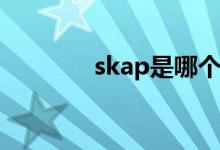 skap是哪個(gè)國家的鞋子品牌