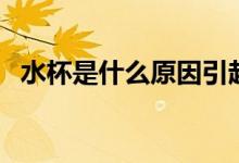 水杯是什么原因引起的(水杯是什么垃圾)