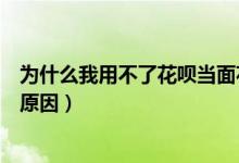 為什么我用不了花唄當(dāng)面花（花唄當(dāng)面花怎么用不了有什么原因）