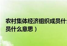 農(nóng)村集體經(jīng)濟組織成員什么時候發(fā)證（農(nóng)村集體經(jīng)濟組織成員什么意思）