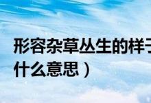 形容雜草叢生的樣子的段落（雜草叢生是描寫什么意思）