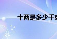十兩是多少千克（十兩是多少克）