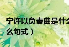 寧許以負秦曲是什么句式(寧許以負秦曲是什么句式)