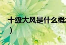十級大風(fēng)是什么概念?（十級風(fēng)是個(gè)什么概念）