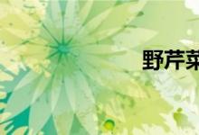 野芹菜可以吃嗎