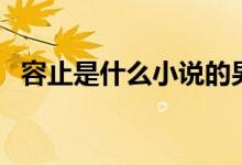 容止是什么小說的男主（容止是什么身份）