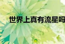 世界上真有流星嗎（流星是怎么形成的）