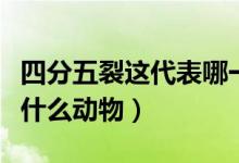 四分五裂這代表哪一只動(dòng)物（四分五裂指的是什么動(dòng)物）