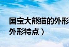 國寶大熊貓的外形特點50字（國寶大熊貓的外形特點）