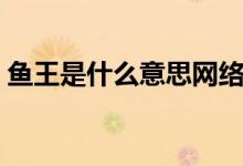魚王是什么意思網(wǎng)絡(luò)用語（魚王是什么意思）
