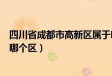 四川省成都市高新區(qū)屬于哪個區(qū)(四川省成都市高新區(qū)屬于哪個區(qū))