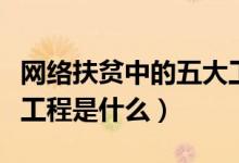 網(wǎng)絡(luò)扶貧中的五大工程是什么(網(wǎng)絡(luò)五大扶貧工程是什么)