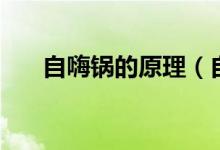 自嗨鍋的原理（自嗨鍋的原理是什么）
